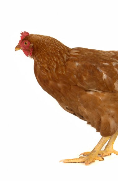 Domácí péče a domácí píč..